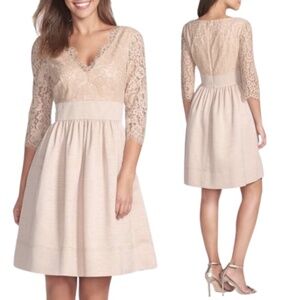 NWT Eliza J Missy Lace Bodice & Faille Fit & Flare Mini Dress in Champagne